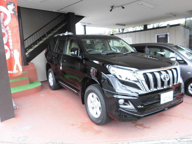 LAND CRUISER PRADO TX L PACKAGE2